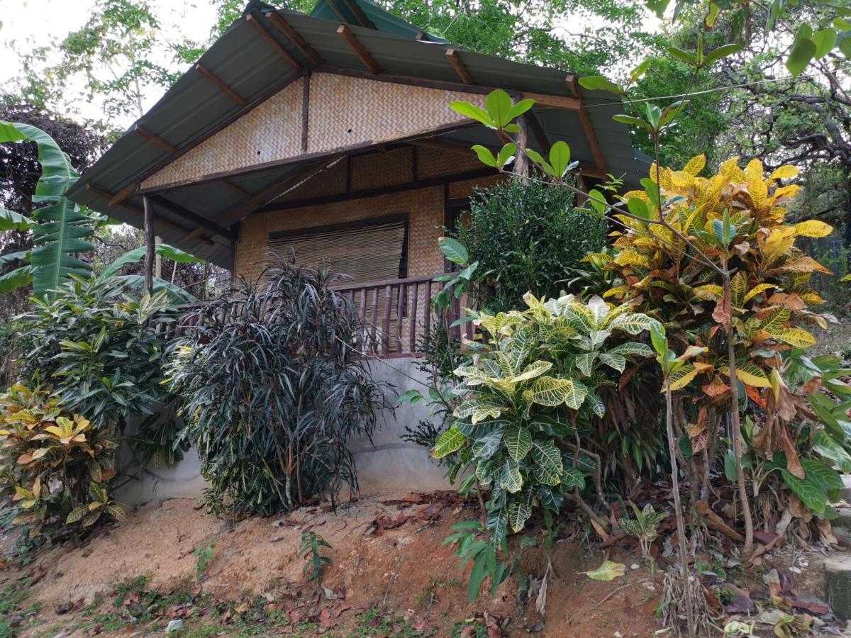 Tapik Beach Park Guest House El Nido Buitenkant foto